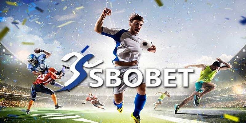 Những loại hình cá cược có trên Sbobet Sports Luck8