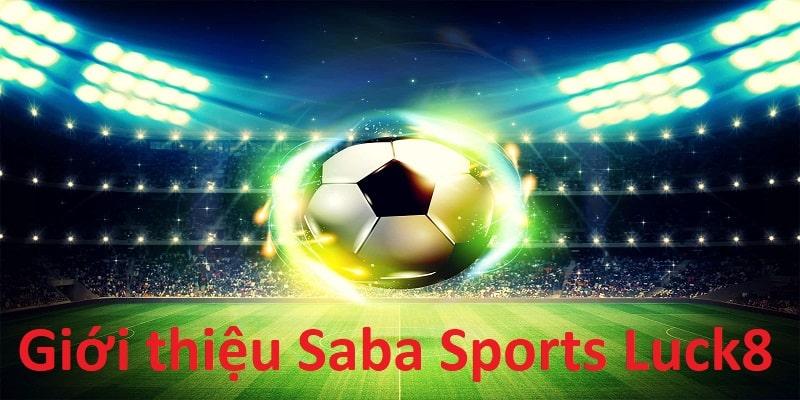 Sảnh thể thao Saba Sports Luck8 được cộng đồng đánh giá cao