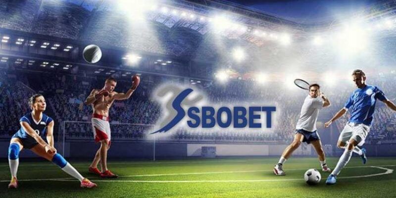 Tổng quan về Sbobet Sports Luck8